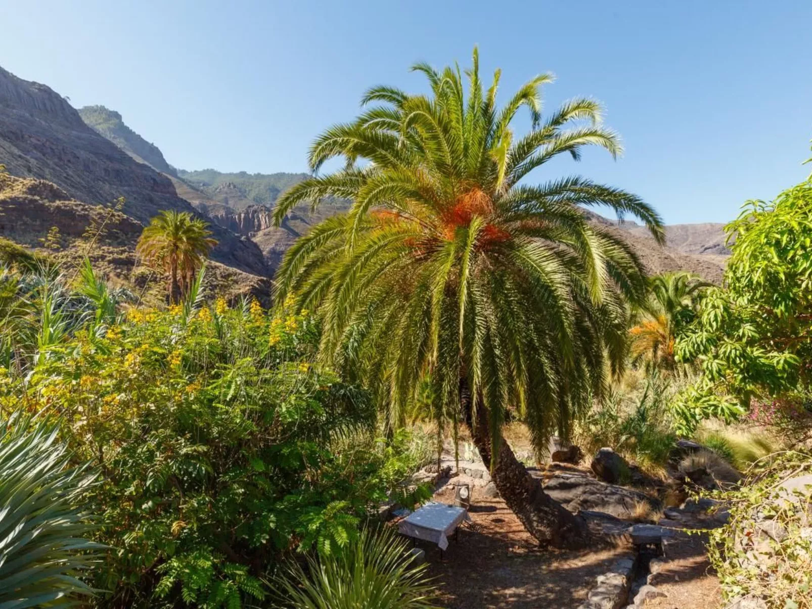 In El Risco mit Garten, Terrasse und Grill - Image-tags.info