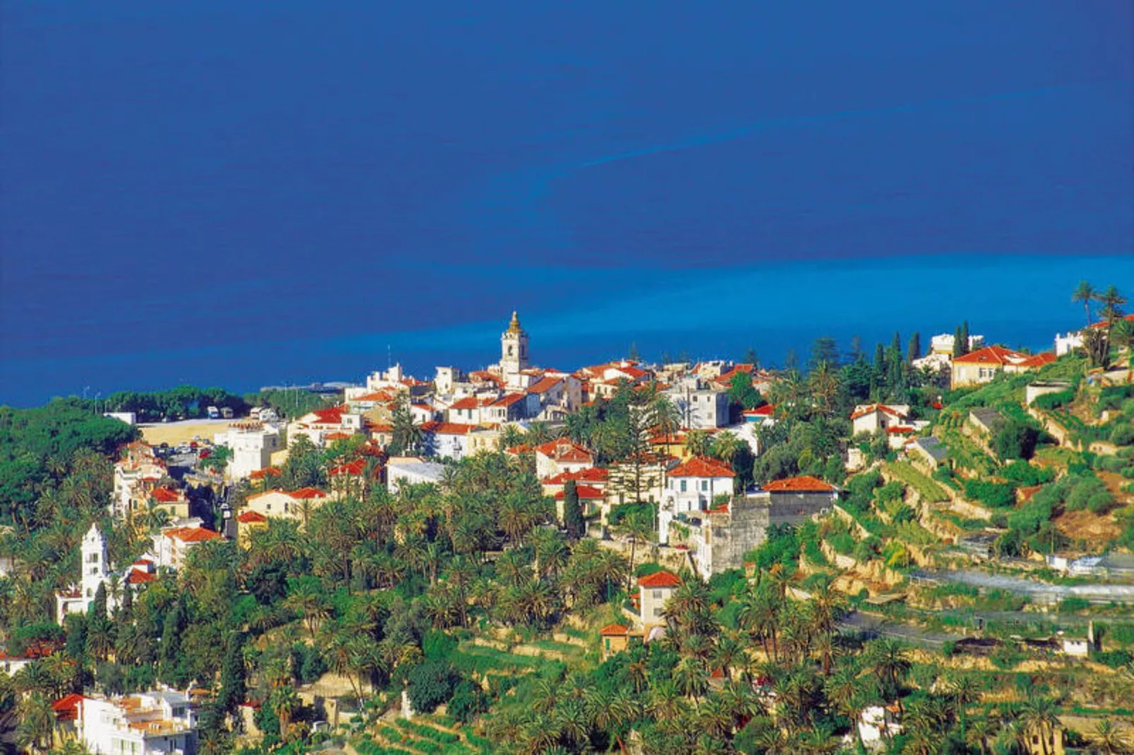 RESIDENCE I MORELLI - THREE-ROOM APT 7 PAX TR2 - Areas within 5km in summer