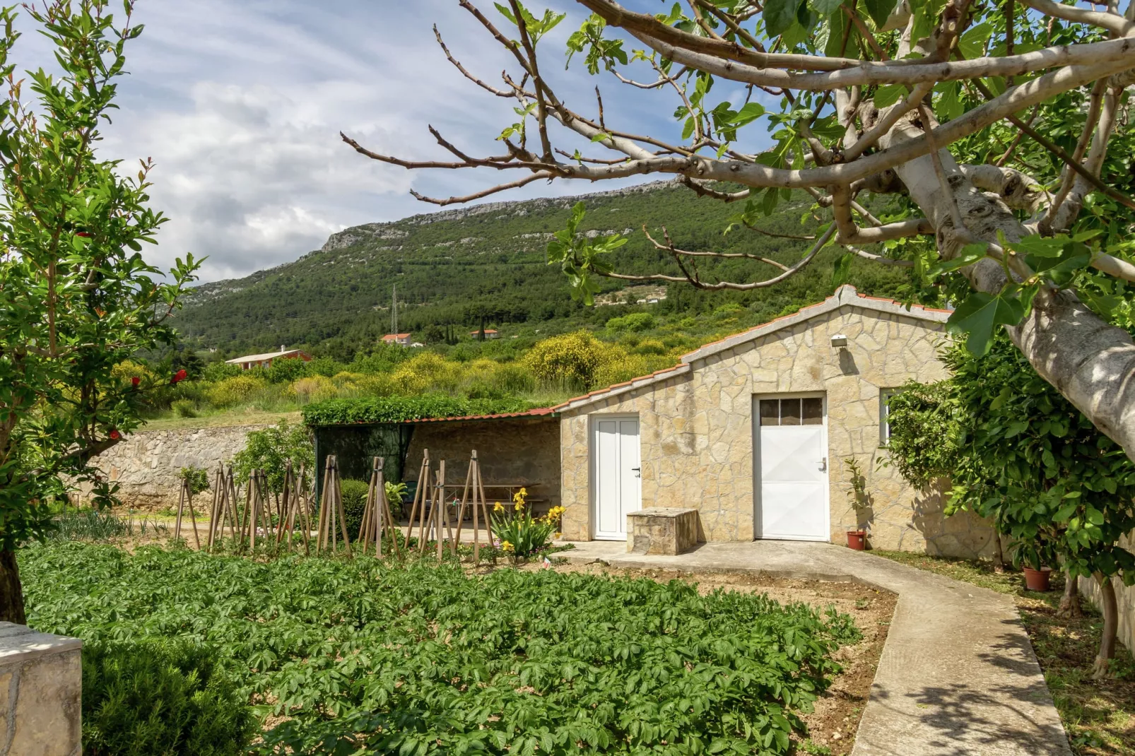 Panorama Apartment-Gardens summer