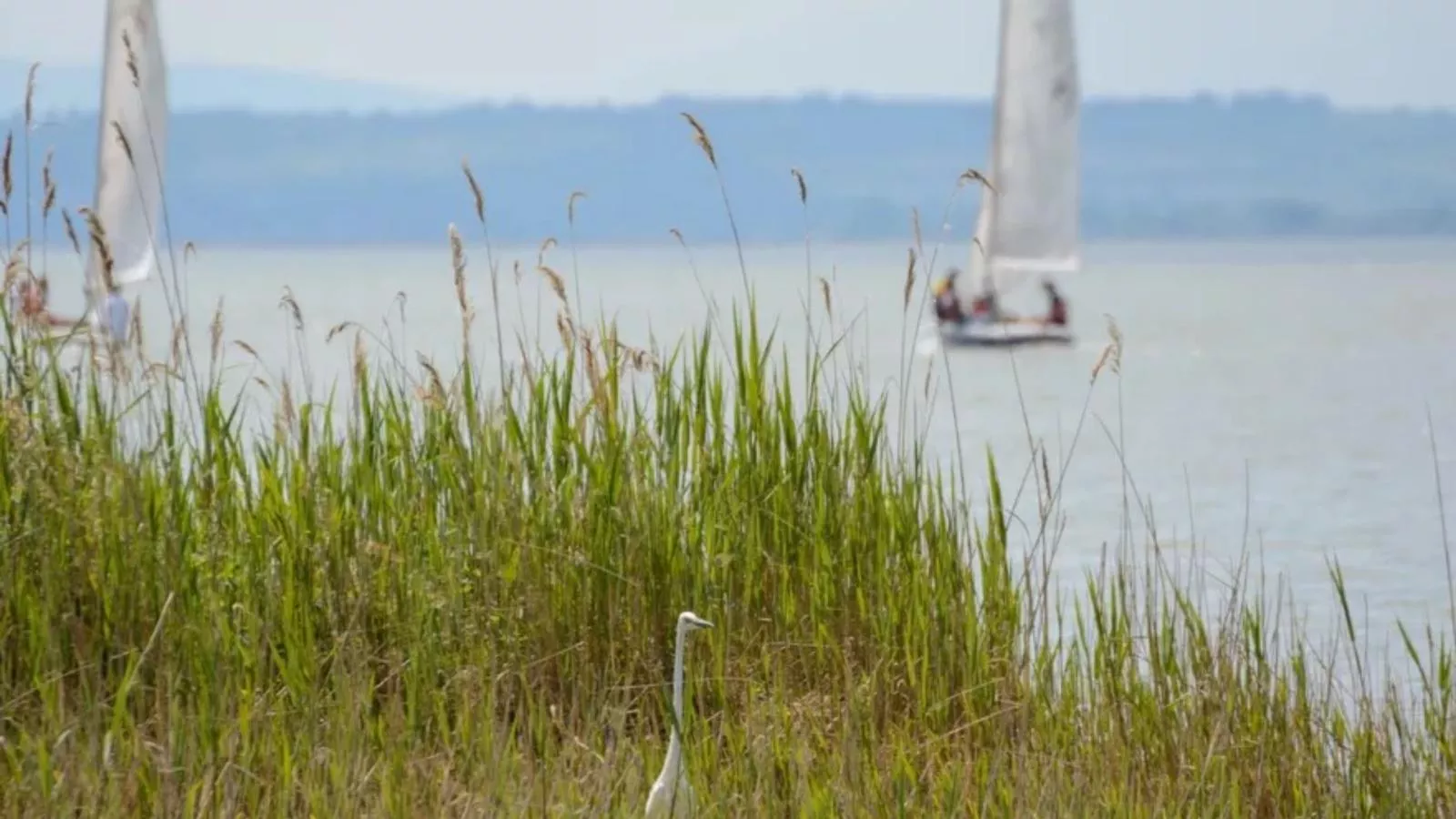 Guesthouse Spa Seeblick - Gebiete Sommer 1 km