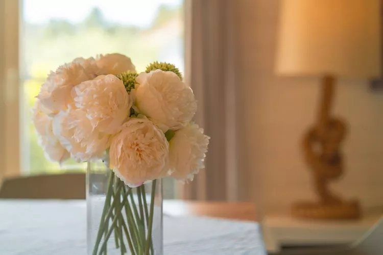 Seewind / 8 Personen-Ambiance