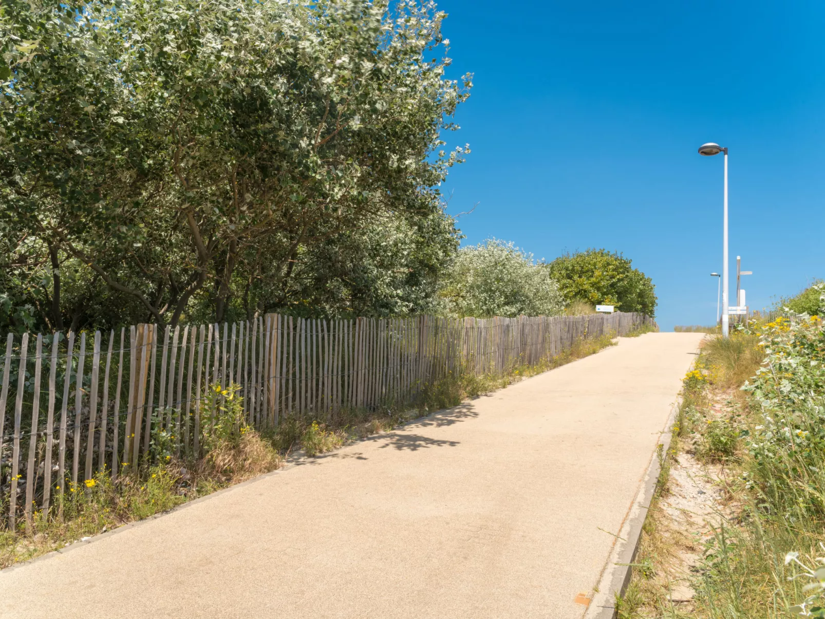 Ruiterlaan - Draußen