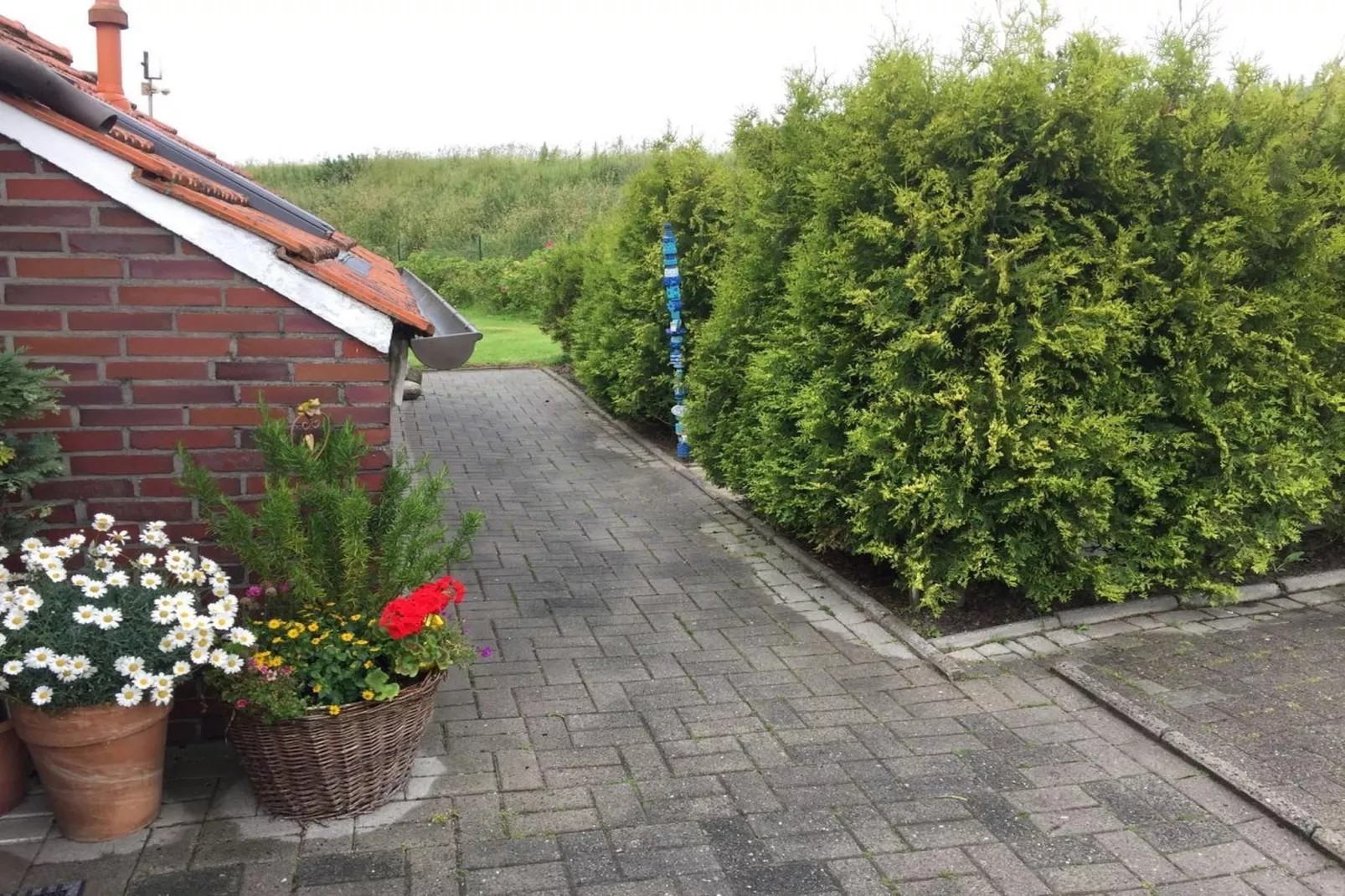 111107-Gardens in summer