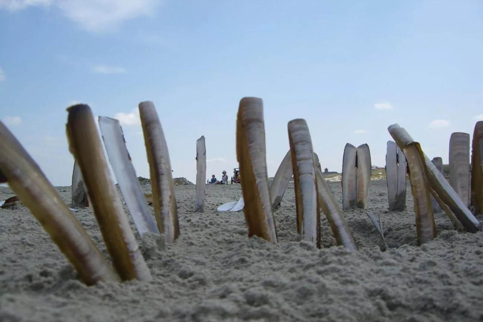 249875-Gebiete Sommer 5 km