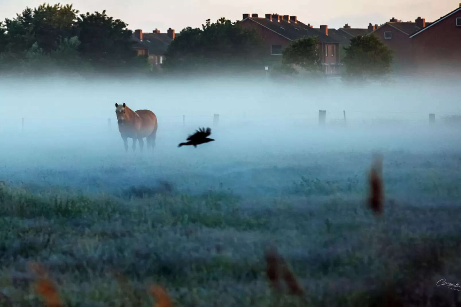 67704-Areas within 5km in summer