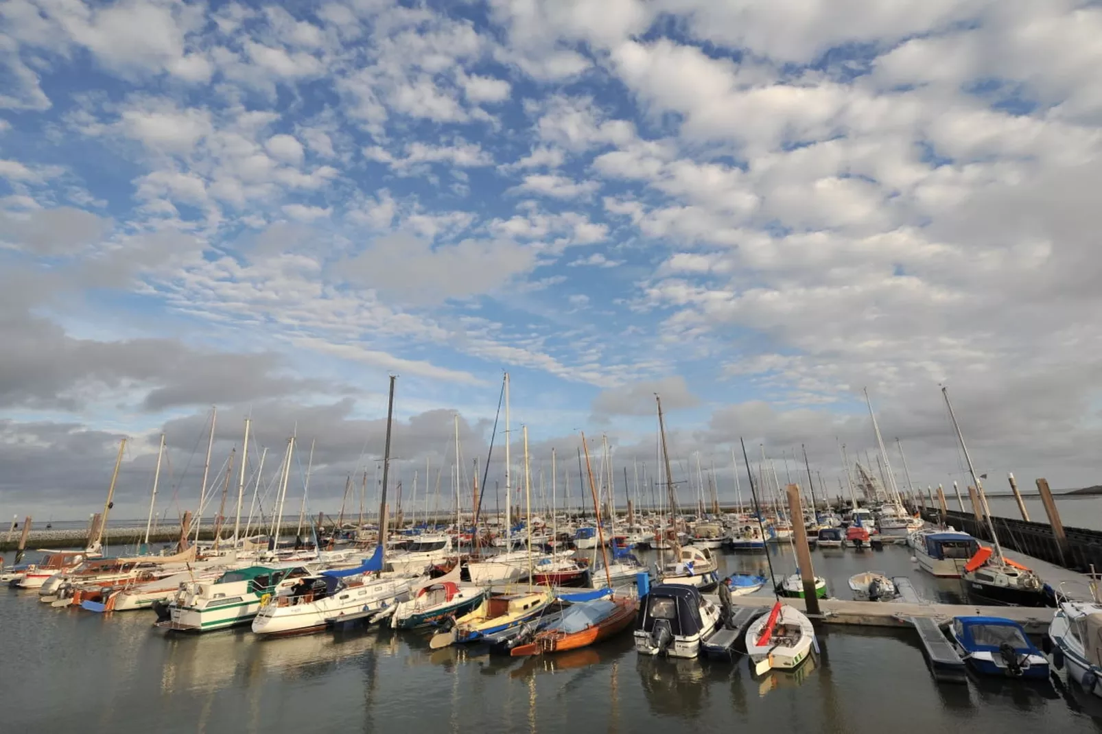 180870-Gebiete Sommer 5 km