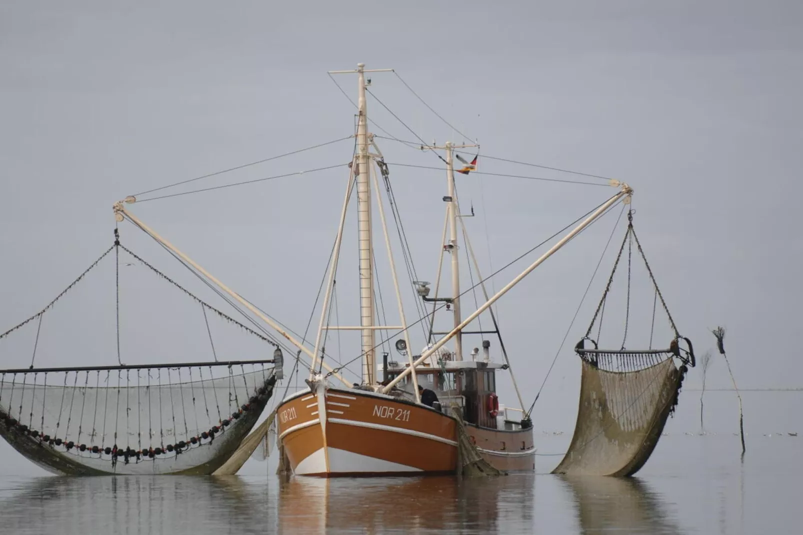 382021-Areas within 5km in summer