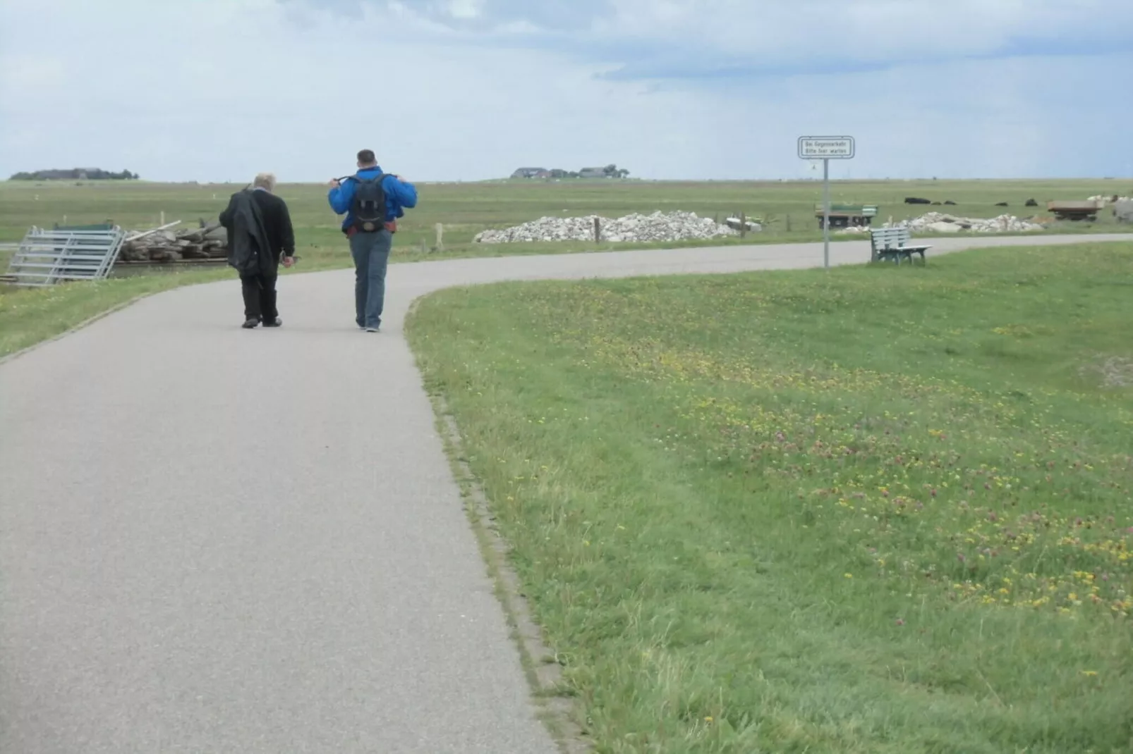 94443-Gardens in summer