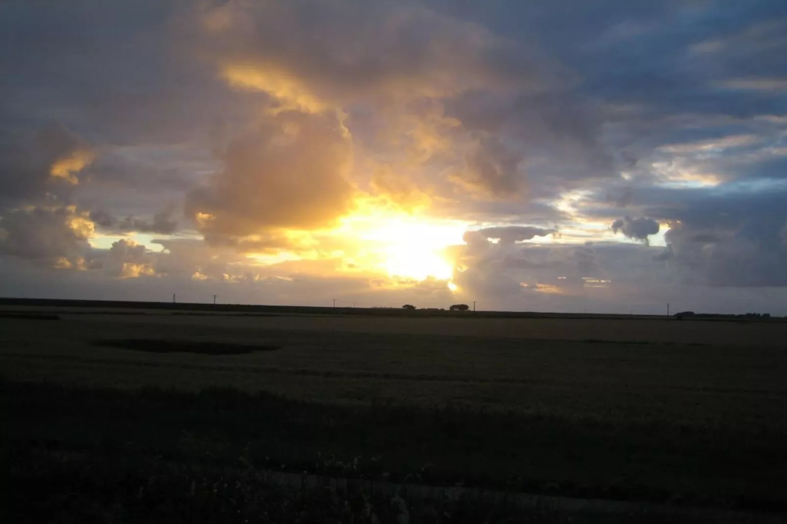 88008 - Image-tags.water view