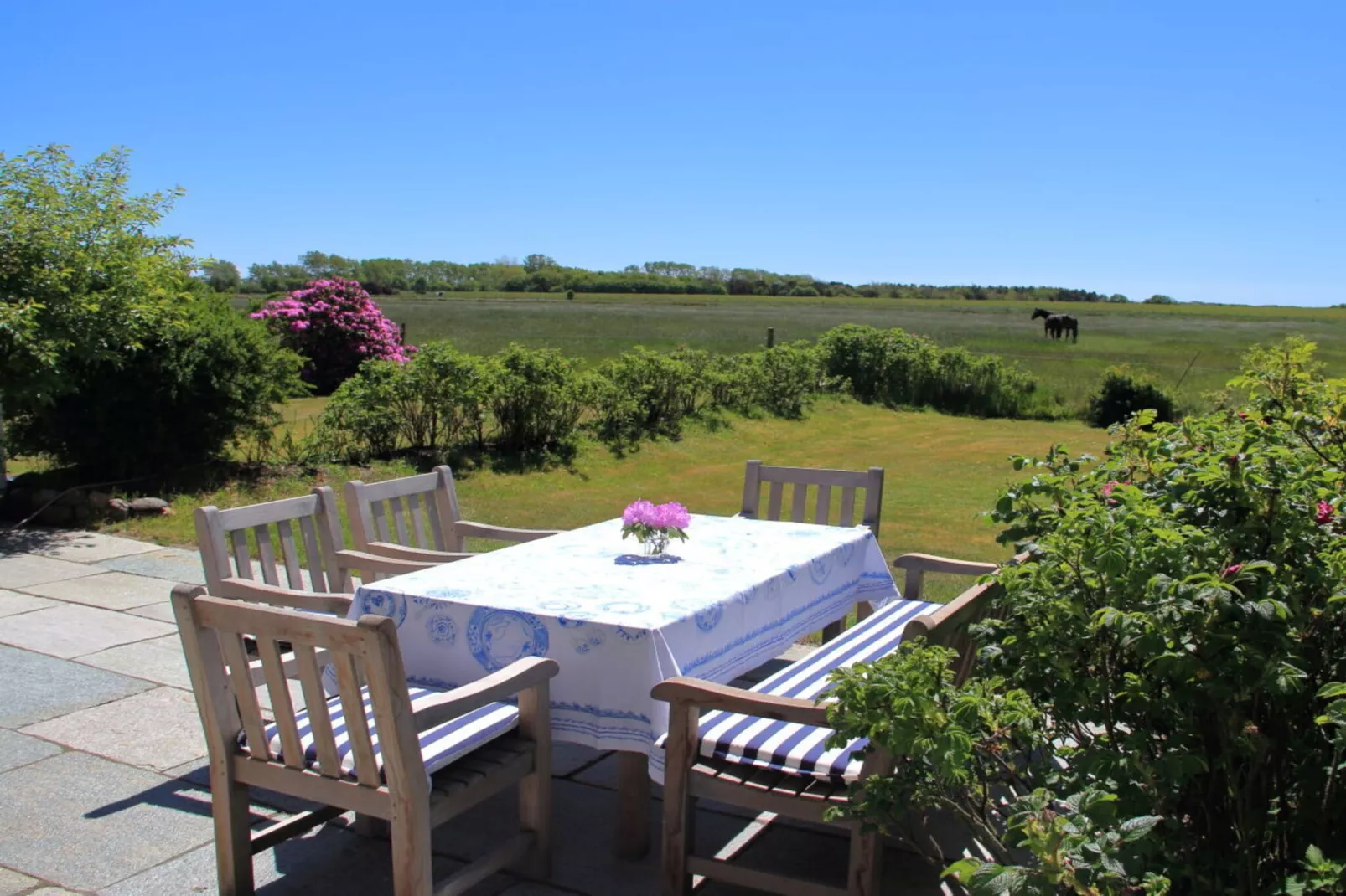 142985-Terrasse / balcon