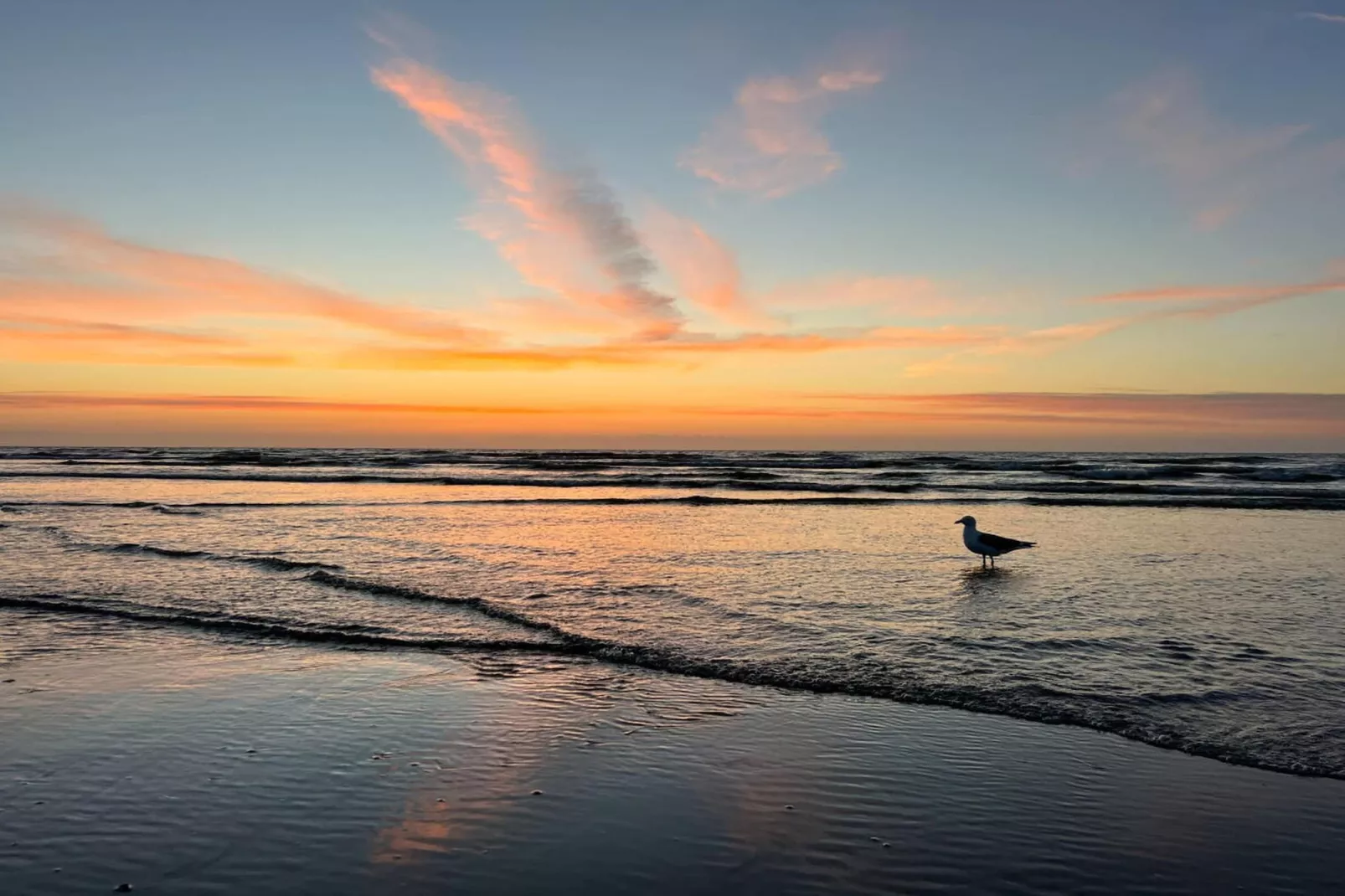 166902-Zones été à 5 km