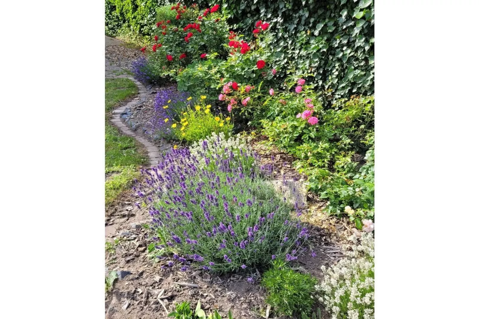 467005-Gardens in summer