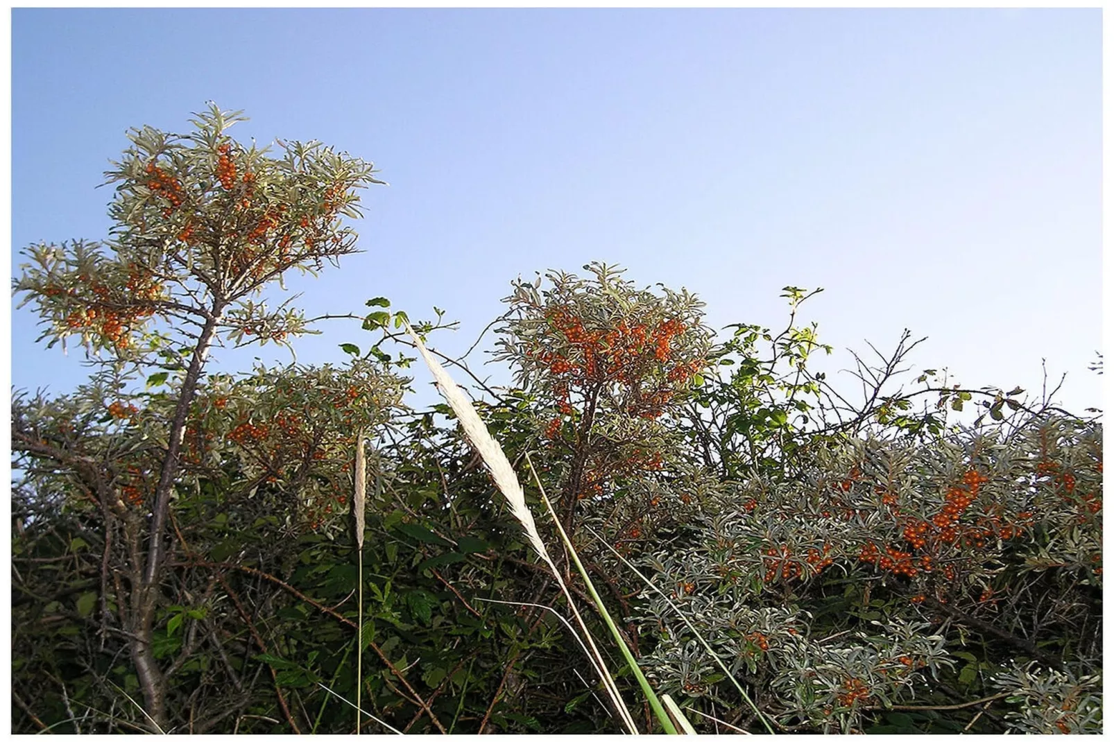 300329-Zones été à 5 km