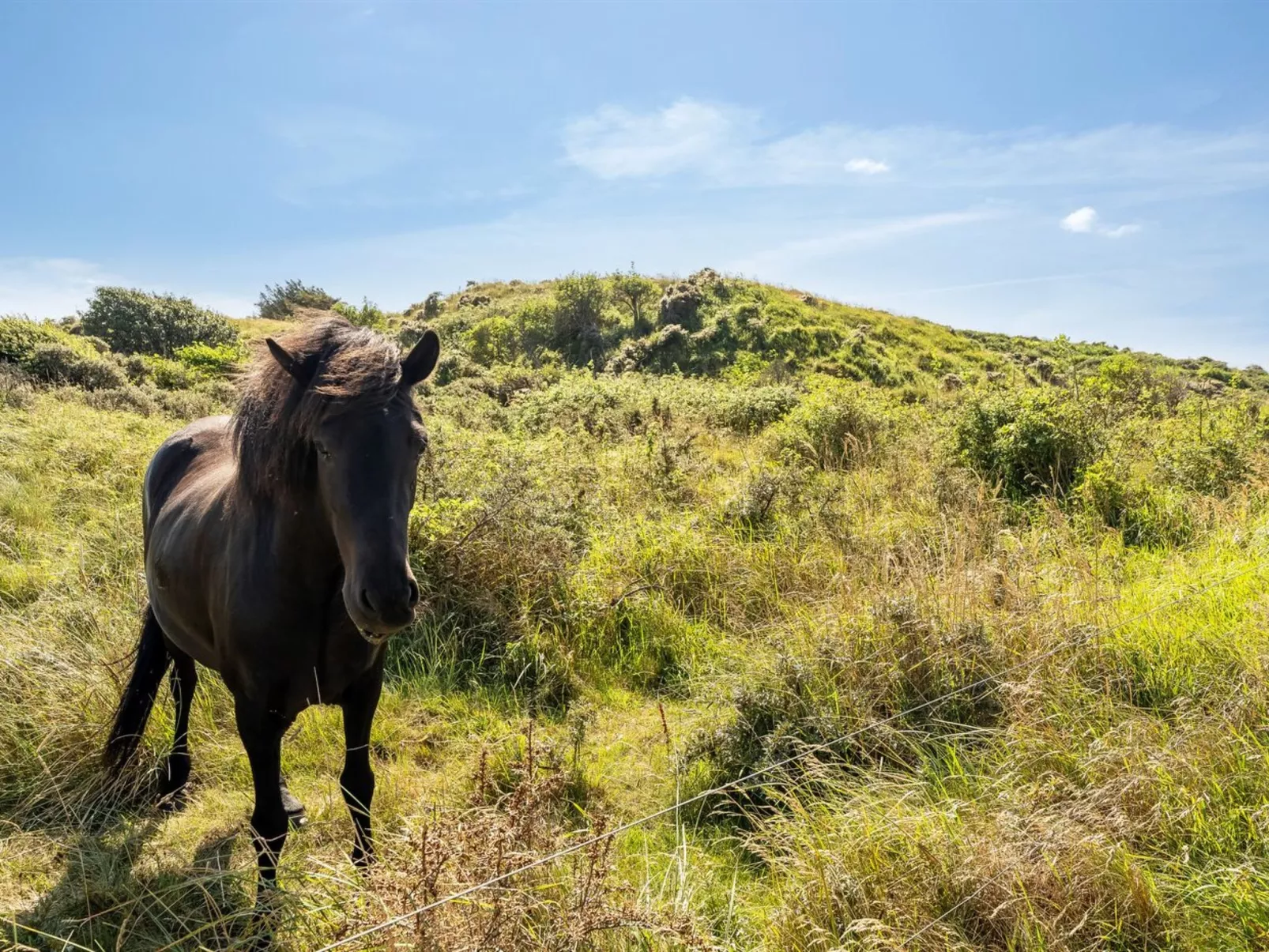 "Senija" - 334m from the sea-Dehors