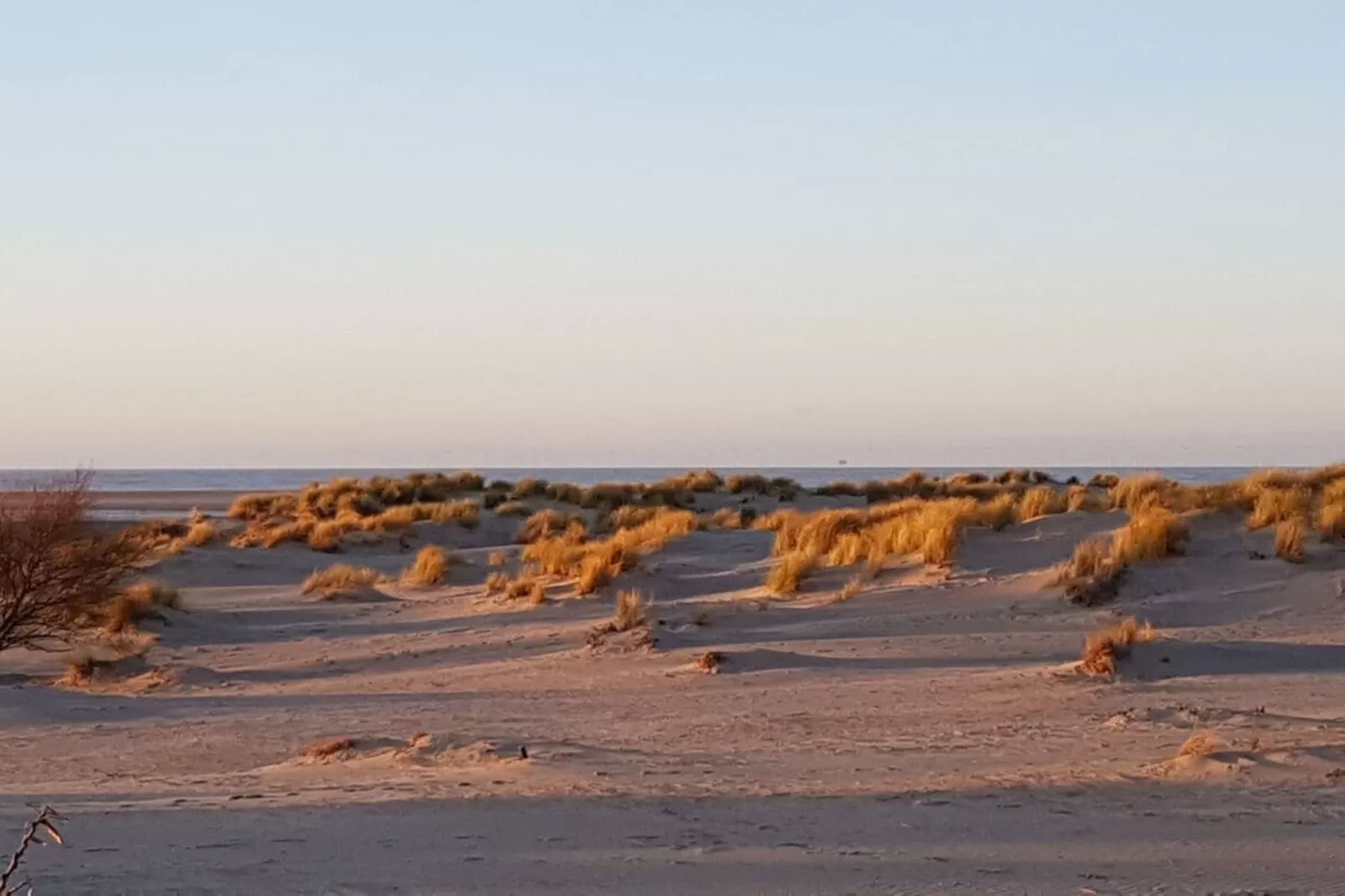 317529-Zones été à 5 km