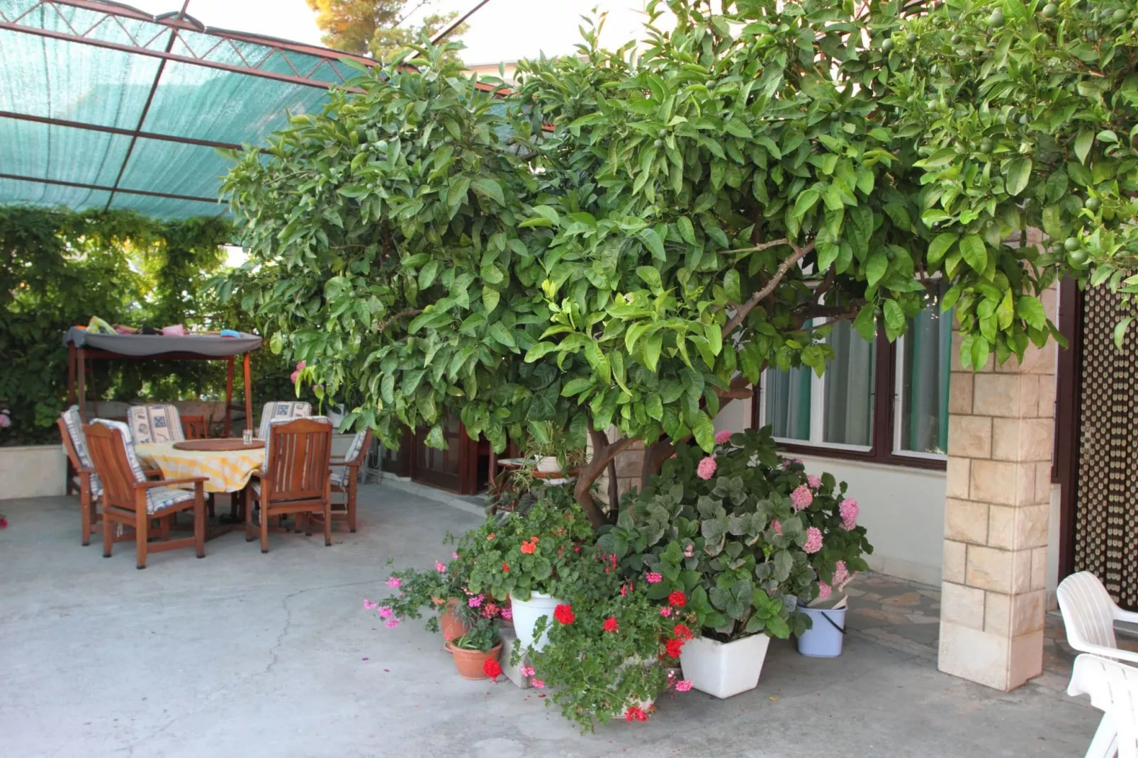 Luxury beach apartment-Gardens summer