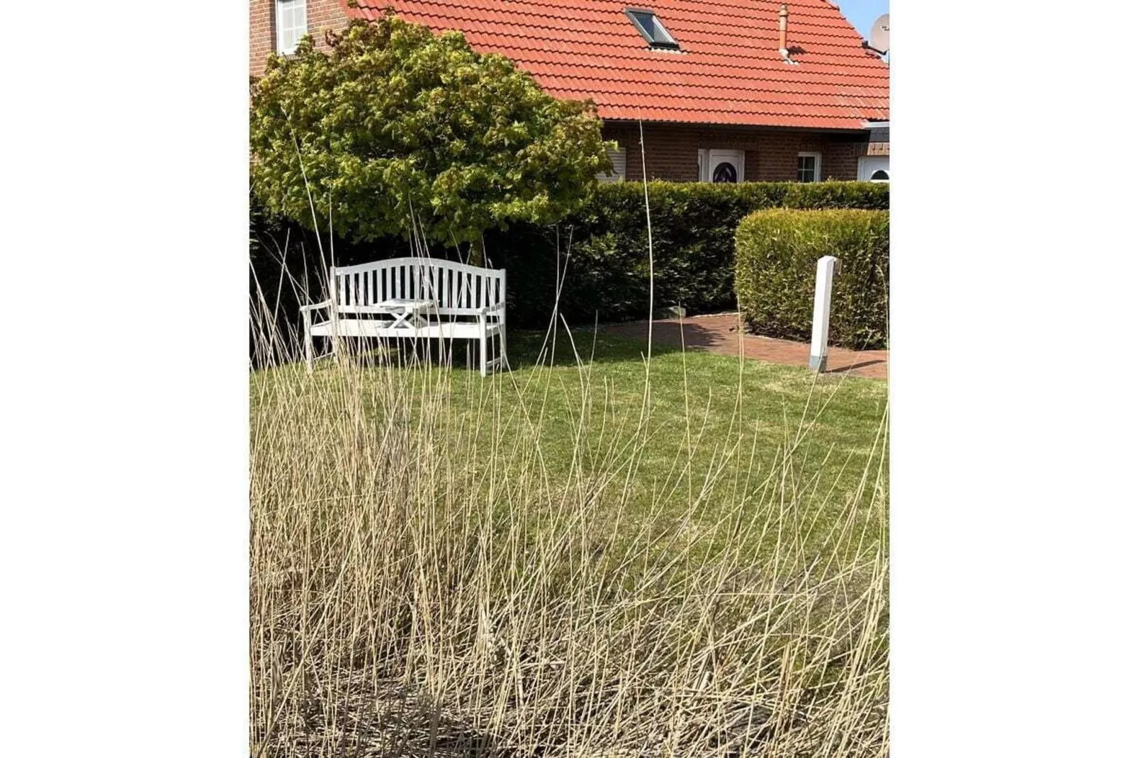 131102-Jardins en été