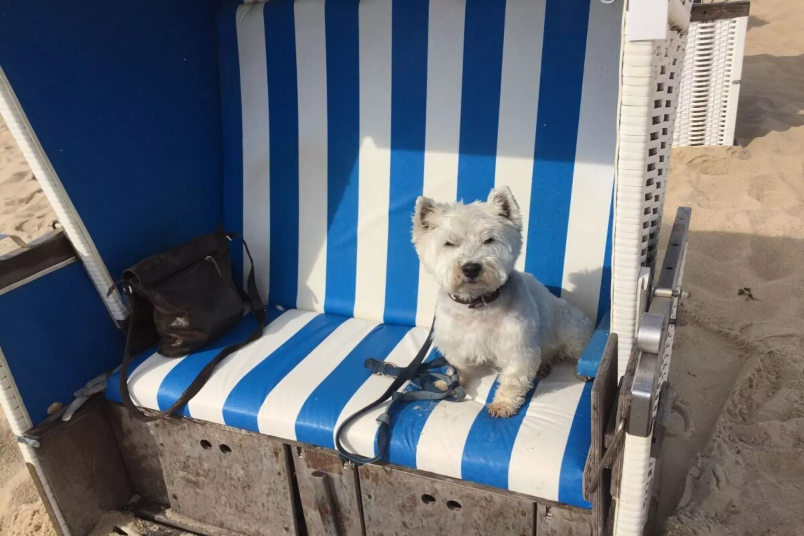 63510-Zones été à 5 km