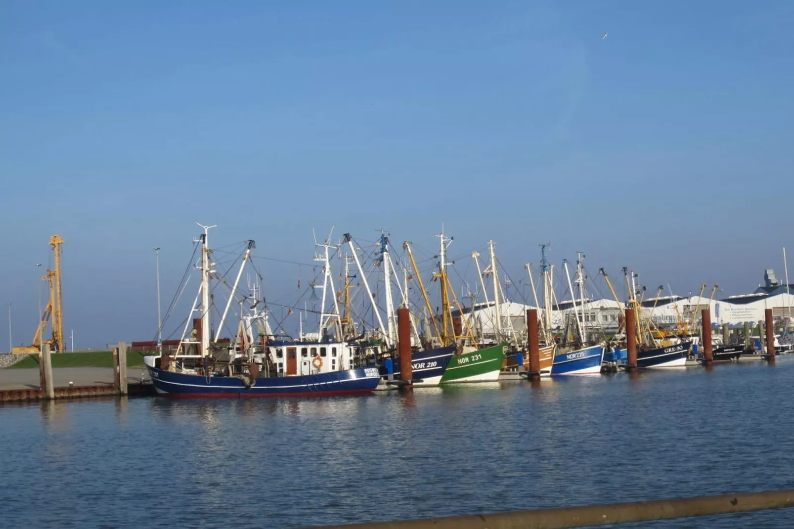 90459-Zones été à 5 km