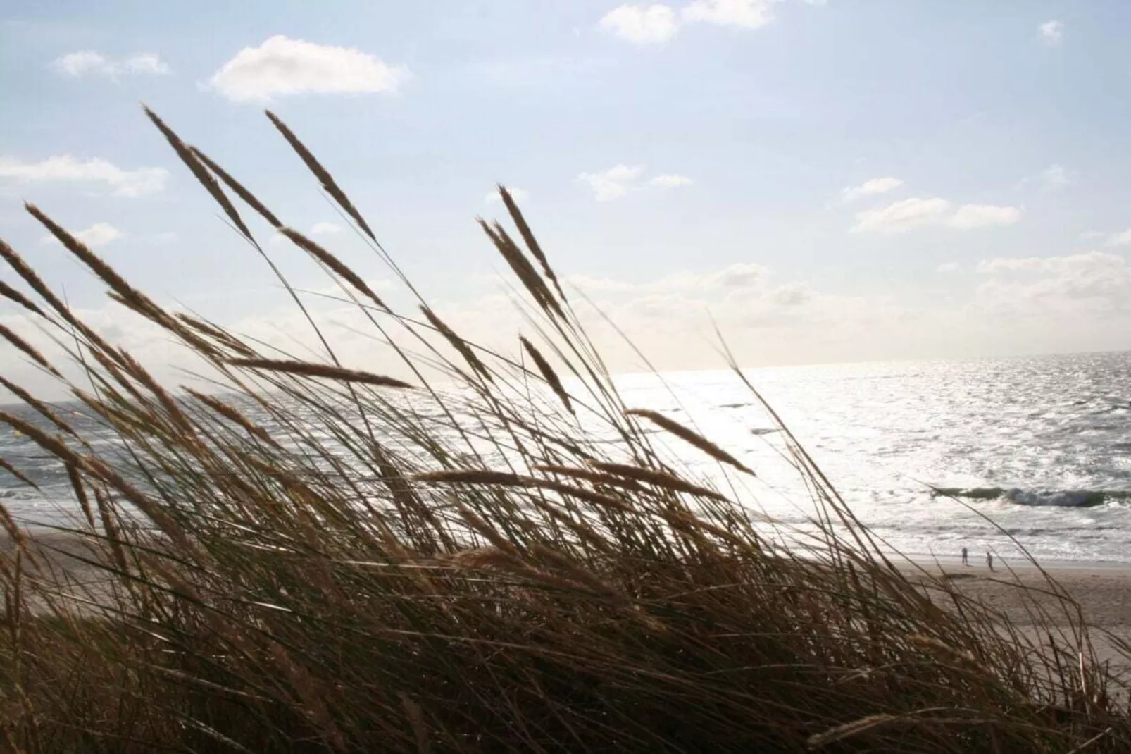 284171-Zones été à 5 km