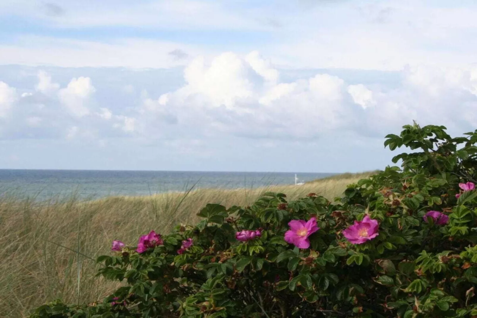 284435-Areas within 5km in summer