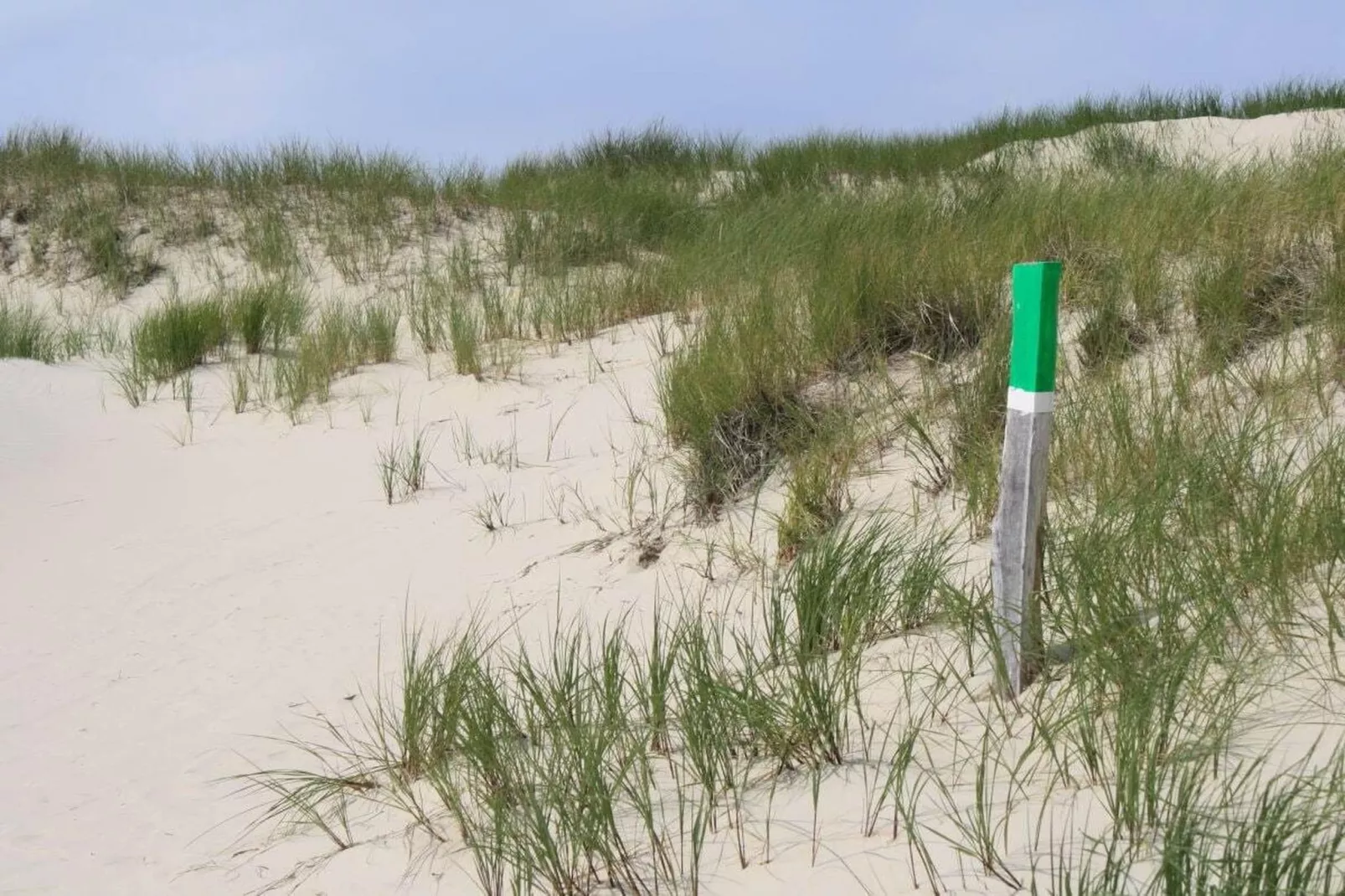 49410 - Zones été à 1 km