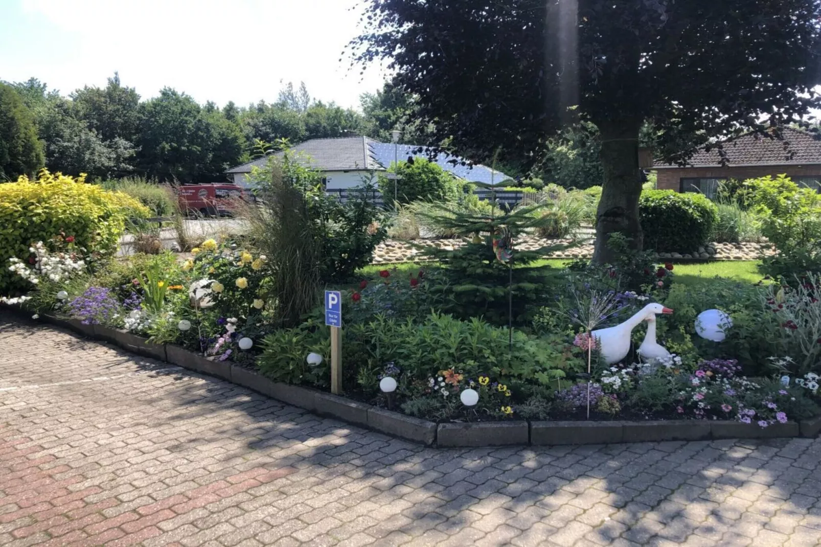 589224-Jardins en été