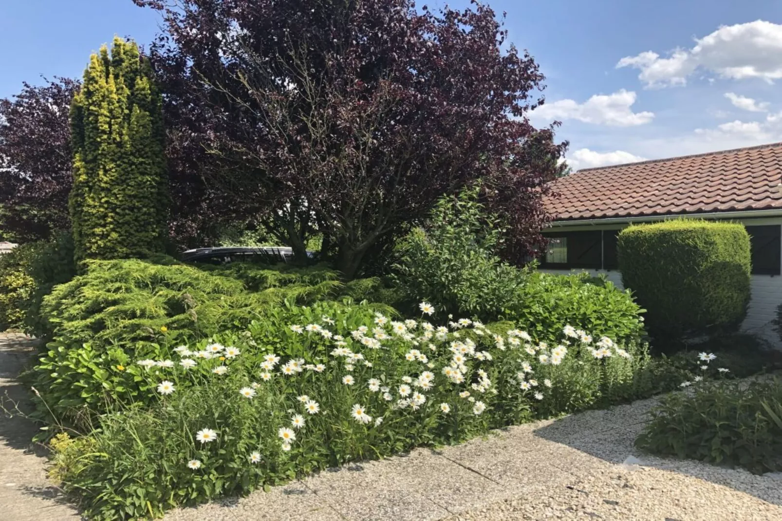 186075 - Jardins en été