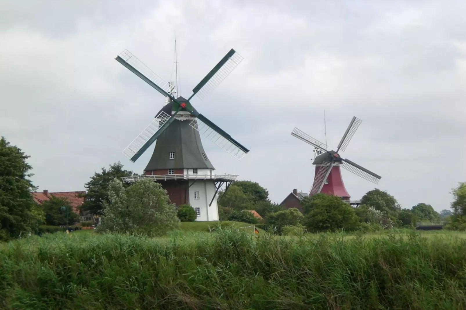 55339 - Außenbereich Sommer