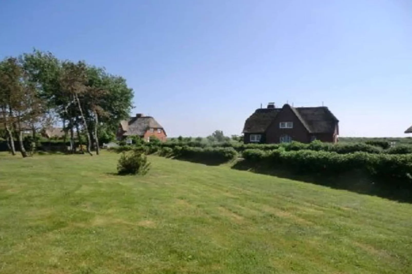 130451 - Jardins en été