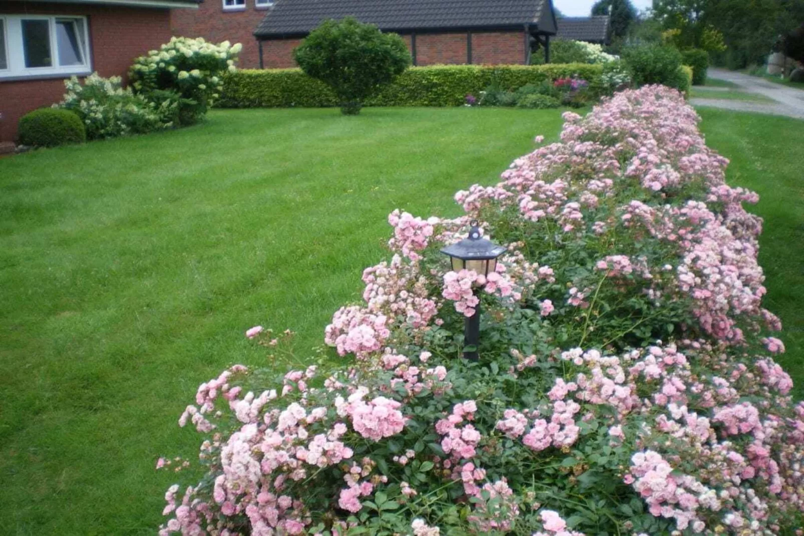 4315-Extérieur été