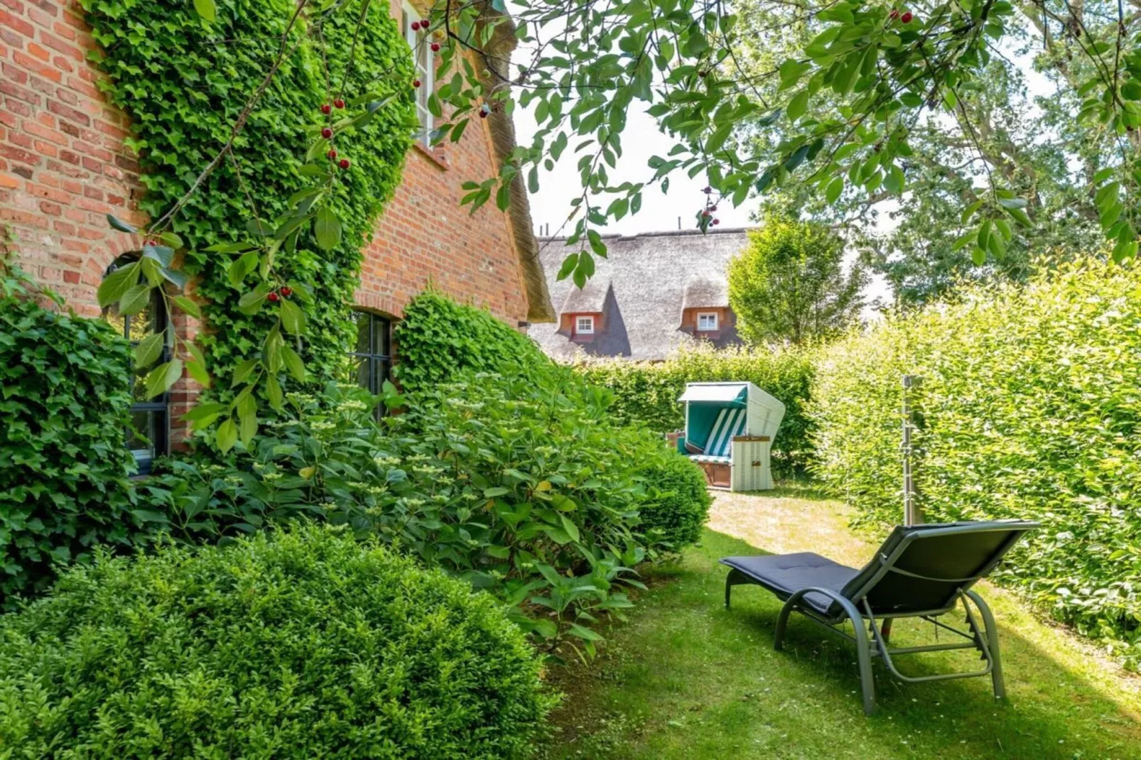 169131-Gardens in summer