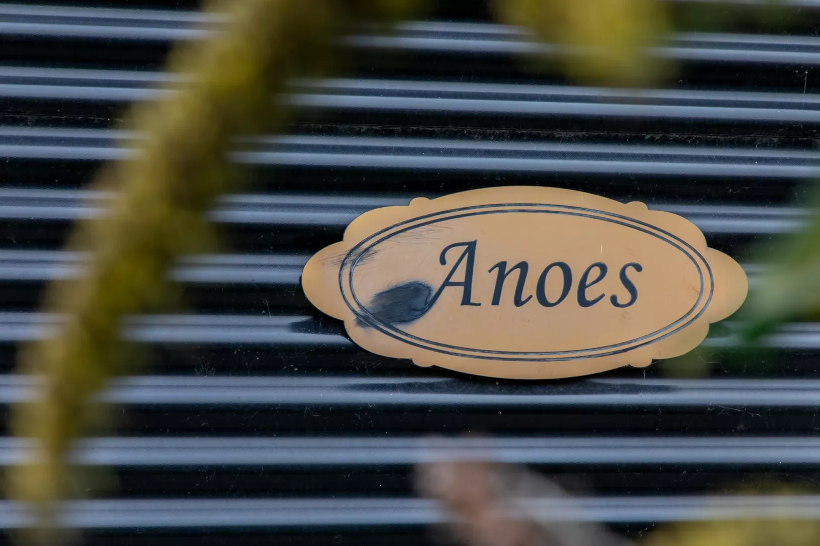 Zonnedorp 22  Holiday Home Anoes Renesse | Beach-nearby Comfort in Zeeland-Untagged