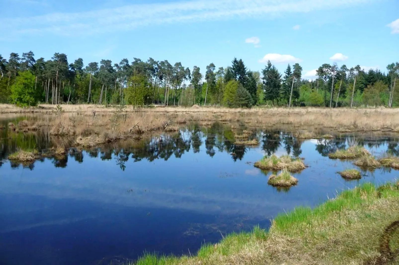 Luxe Lodges-Areas within 1km in summer