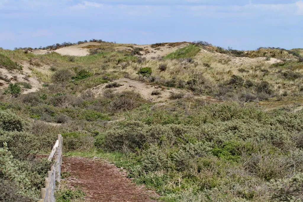 148676-Nicht zugeordnet