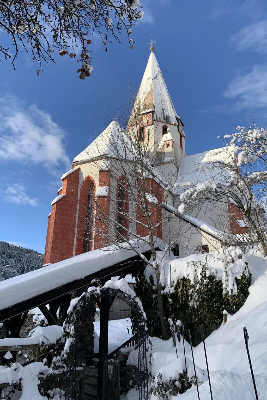 Chalet Elsa Murau - Draußen