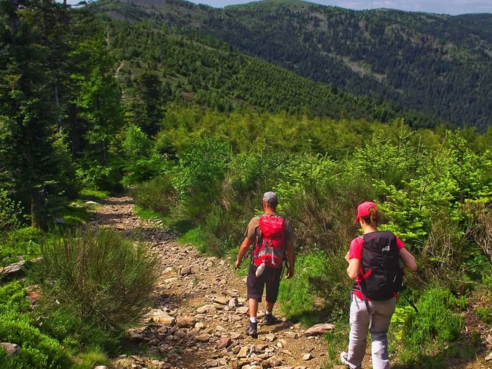 Die Ufer der Rhone - Image-tags.info