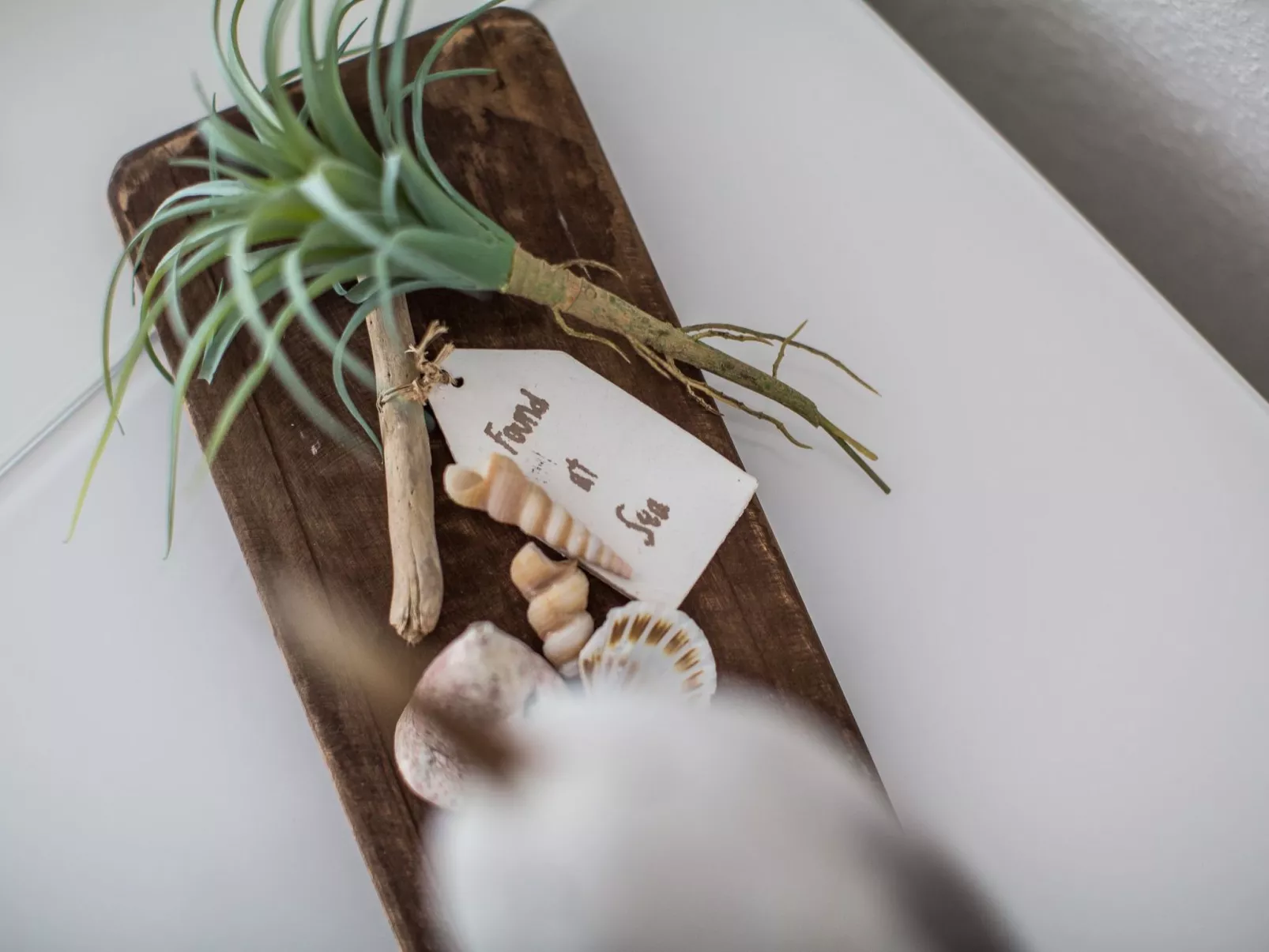 Pfänder - Image-tags.info