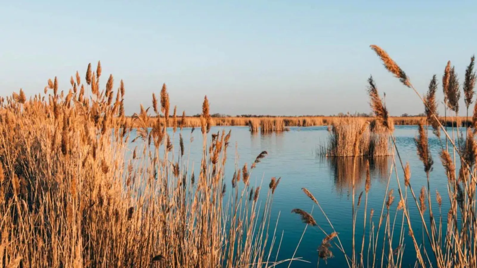 Guesthouse Spa Seeblick - Gebiete Sommer 5 km