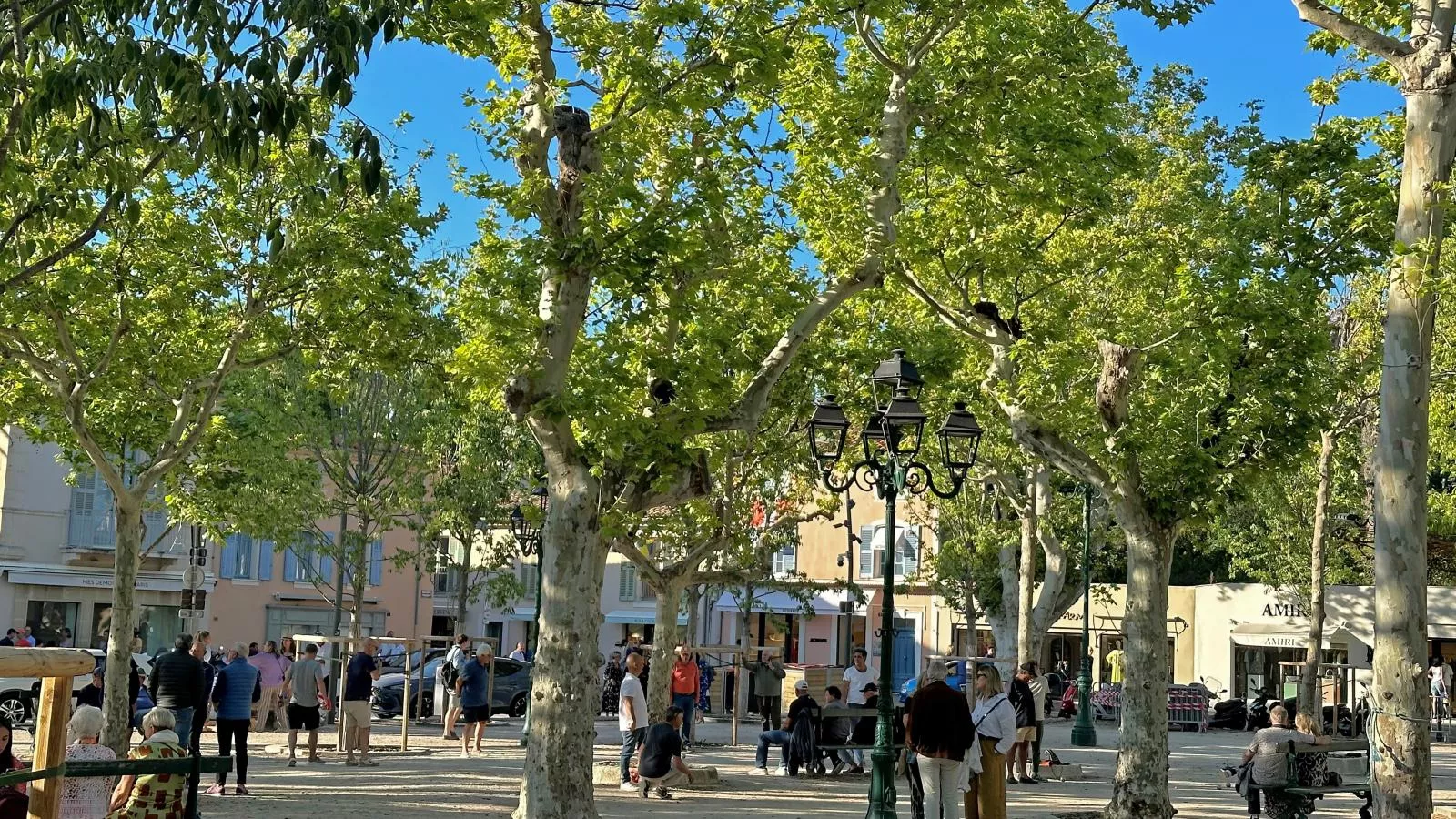 Bonaventure - Areas within 5km in summer