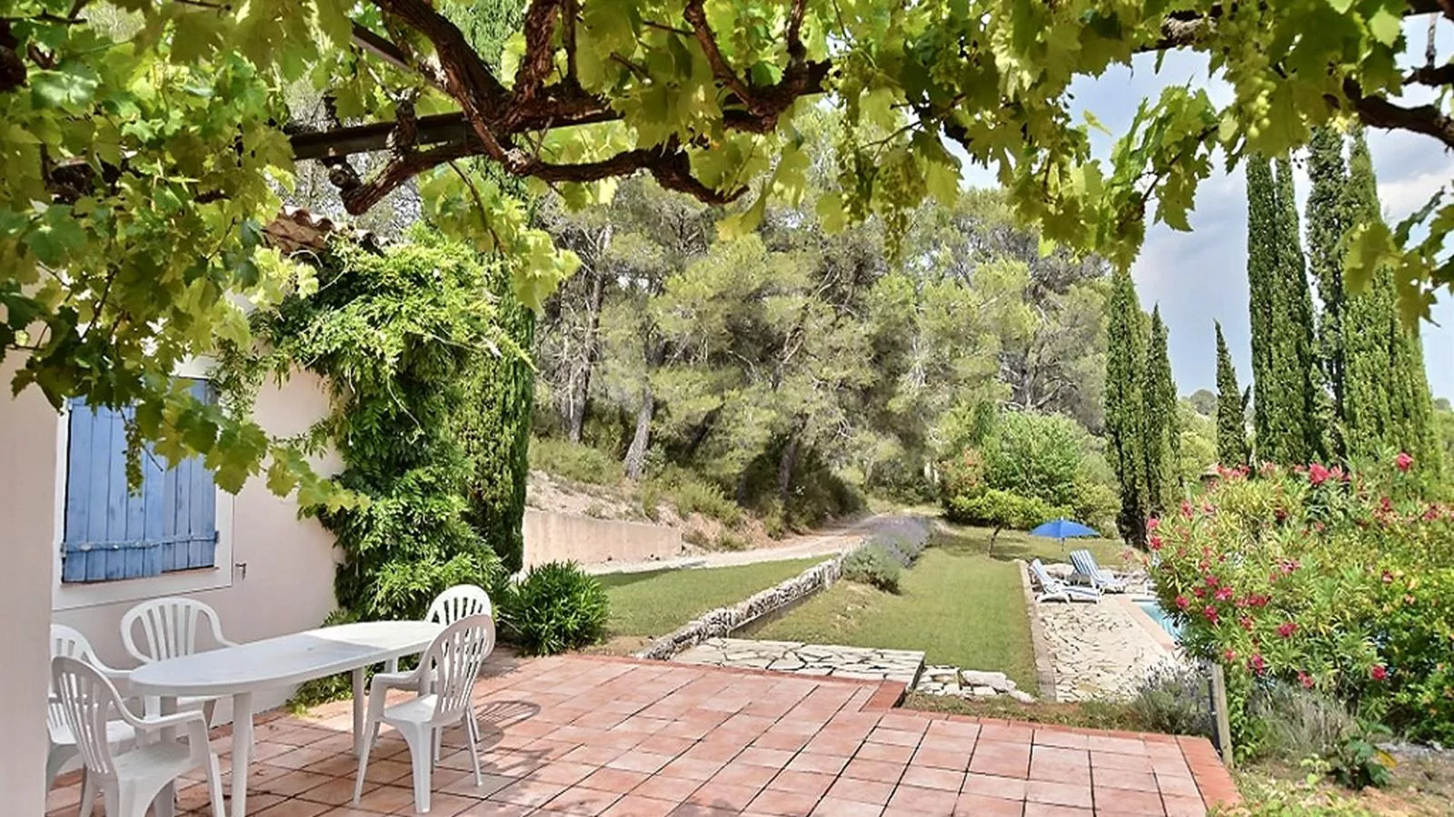 Lomandra - Terrace balcony