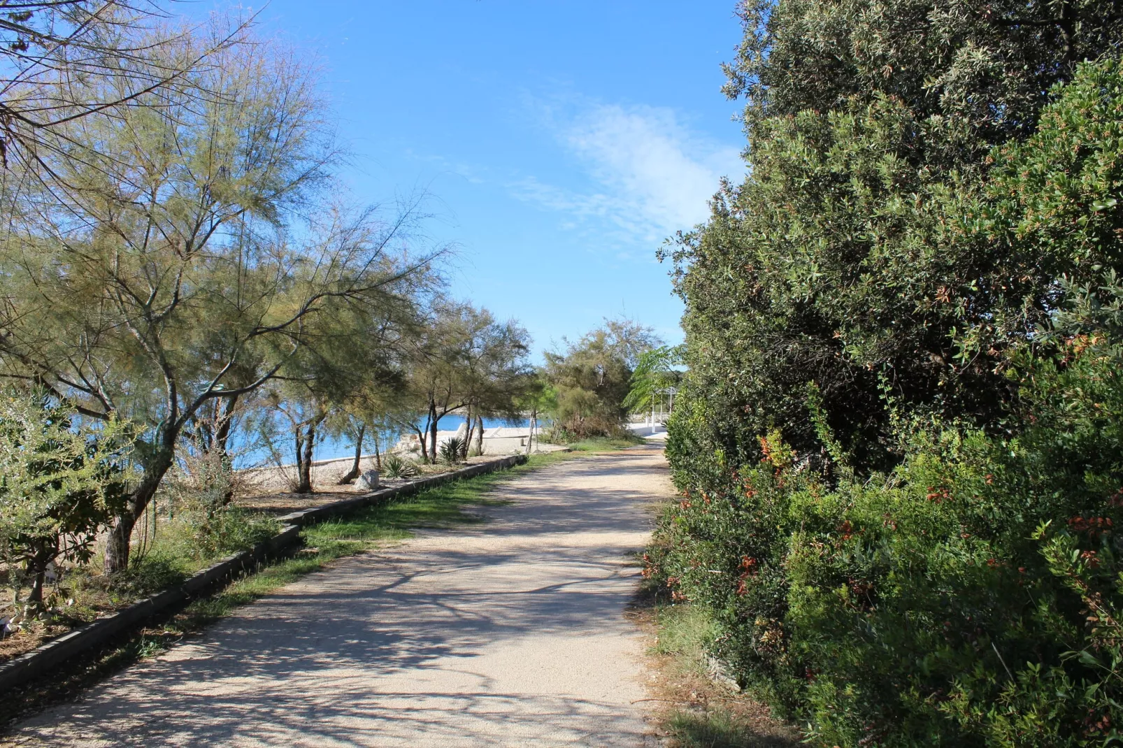 Cozy apartment in Zadar - Kozino with seaview-Areas summer 1km