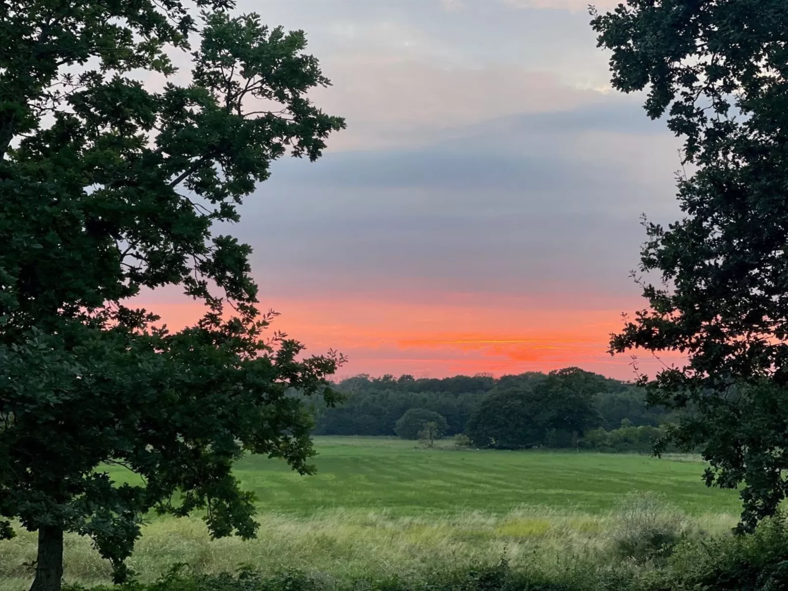 "Lilla" - 120m from the sea - Draußen