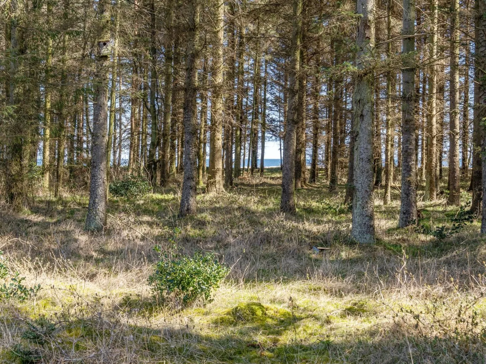 "Mea" -  from the sea-Dehors