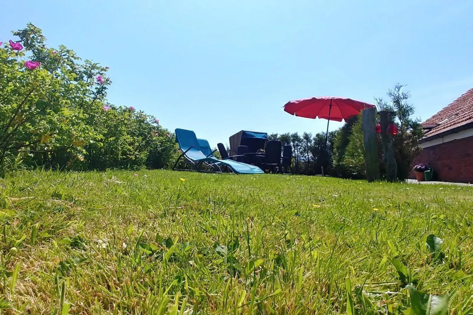 112041-Gardens in summer