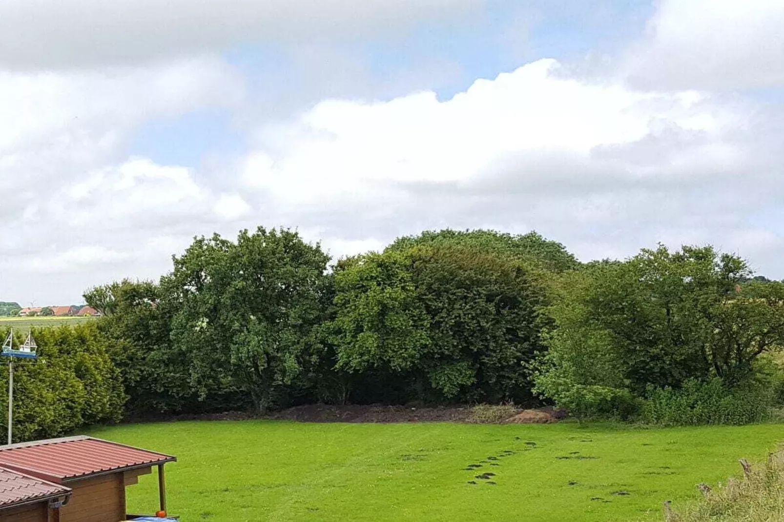 111107-Gardens in summer