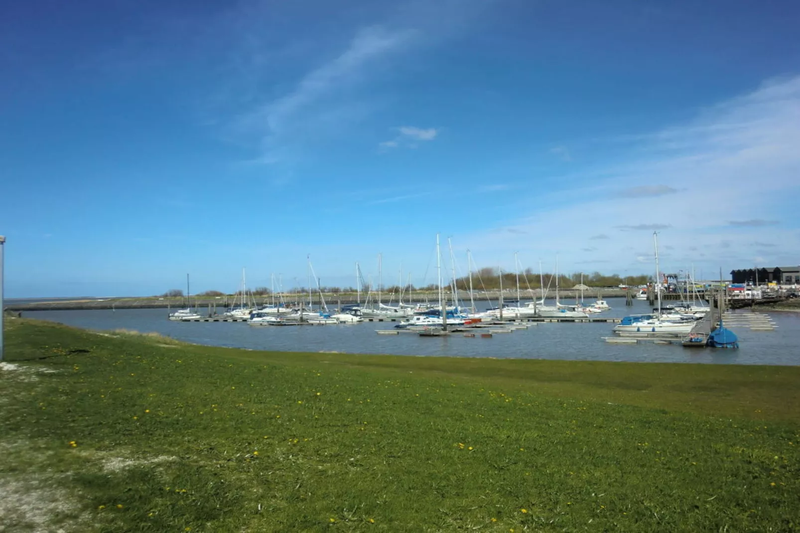 55576-Exterior in summer