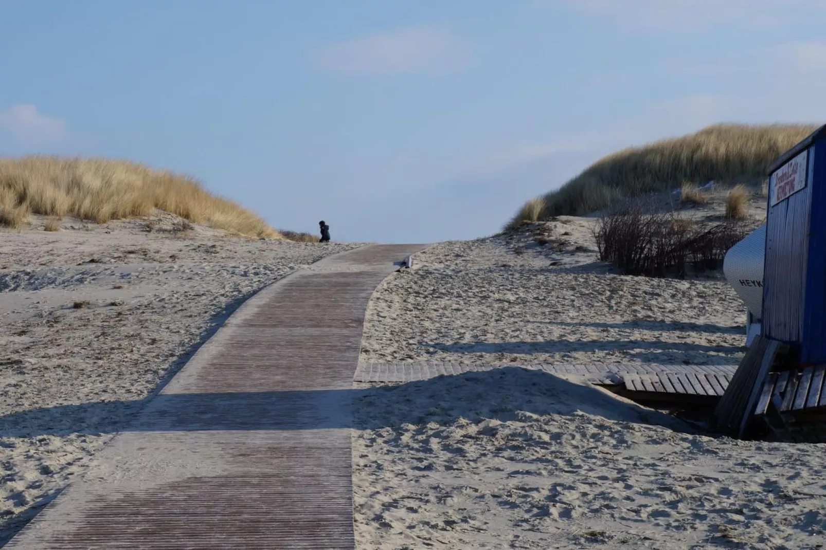 249875-Gebiete Sommer 5 km