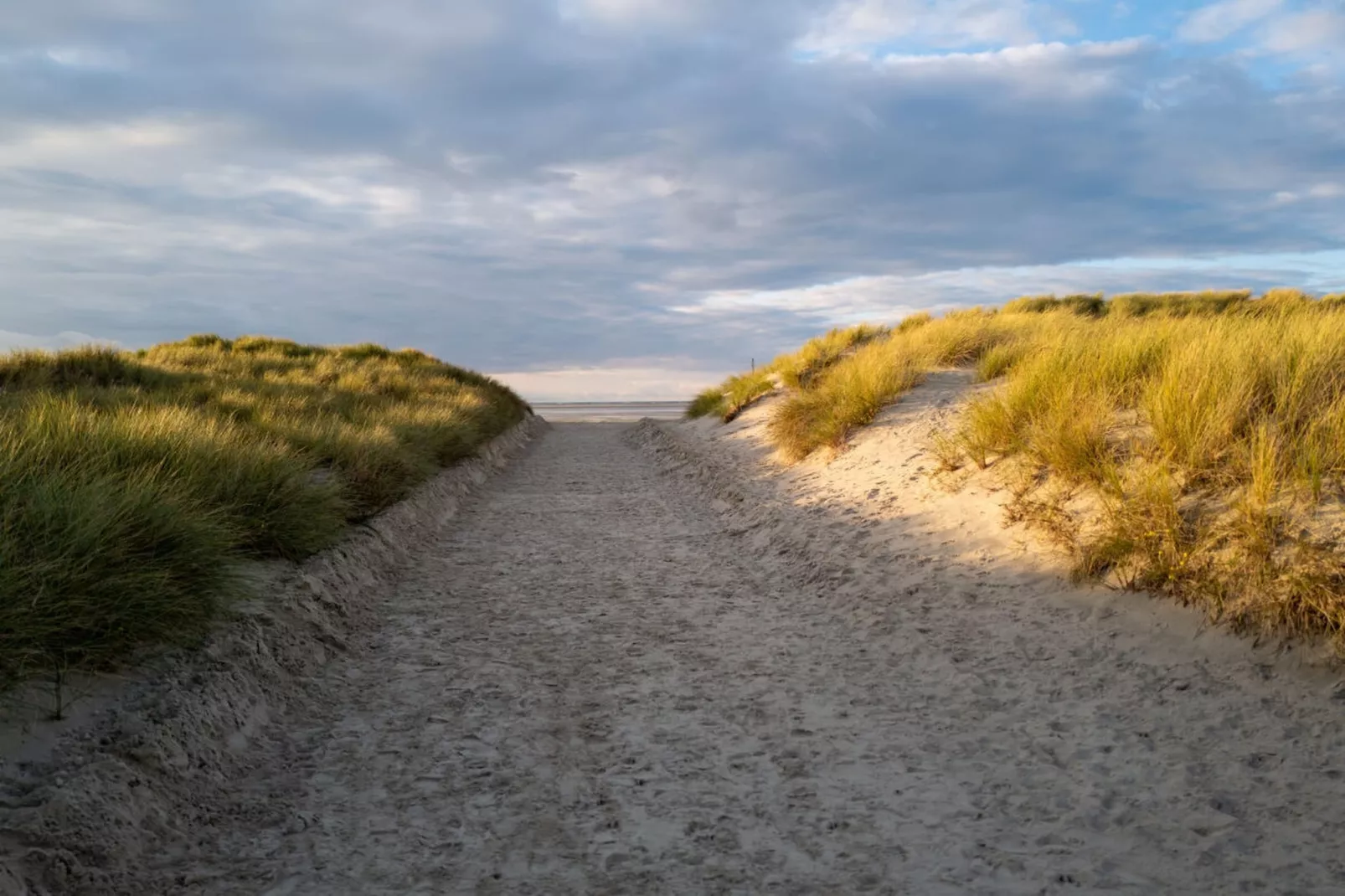 377693-Zones été à 5 km