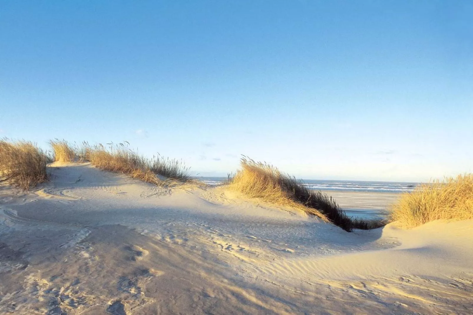 69602-Gebiete Sommer 5 km